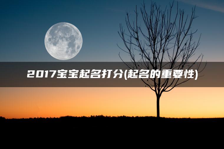 2017宝宝起名打分(起名的重要性)