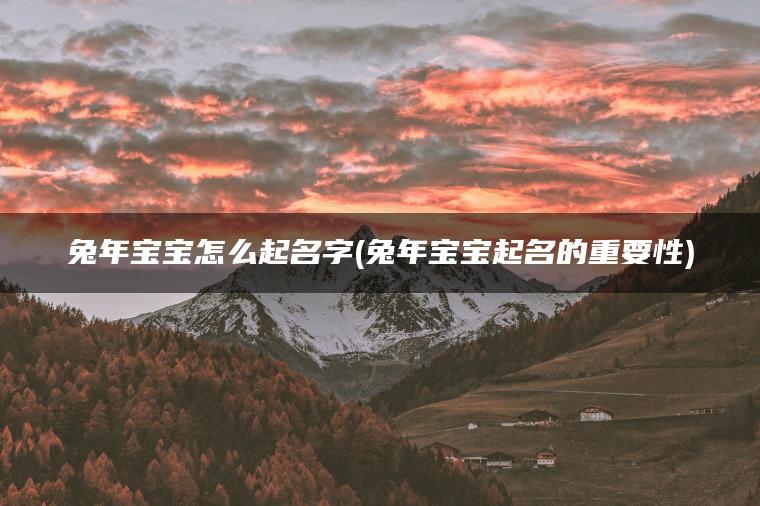 兔年宝宝怎么起名字(兔年宝宝起名的重要性)