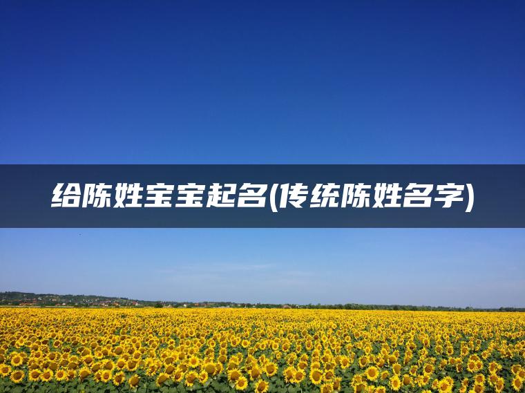 给陈姓宝宝起名(传统陈姓名字)