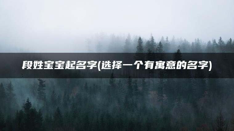 段姓宝宝起名字(选择一个有寓意的名字)