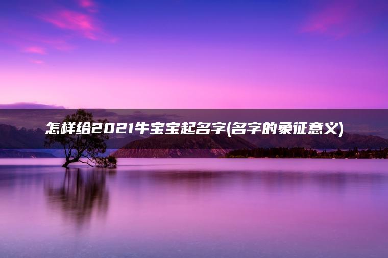 怎样给2021牛宝宝起名字(名字的象征意义)