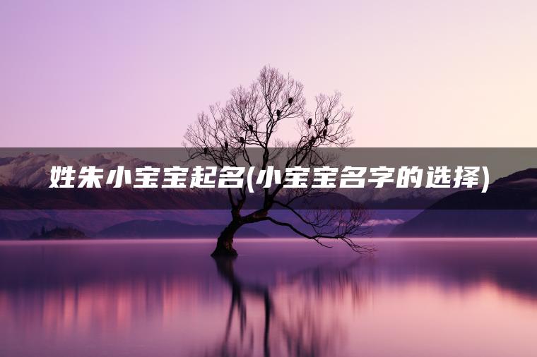 姓朱小宝宝起名(小宝宝名字的选择)