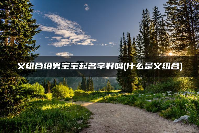 义组合给男宝宝起名字好吗(什么是义组合)