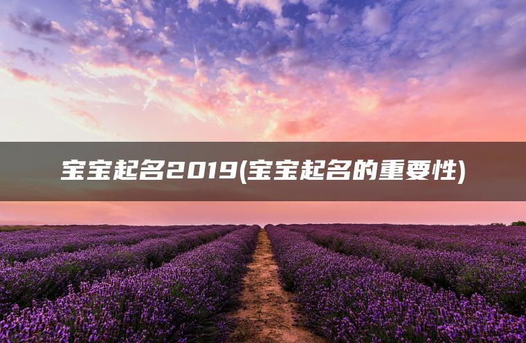 宝宝起名2019(宝宝起名的重要性)