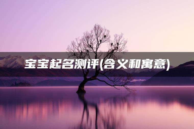 宝宝起名测评(含义和寓意)