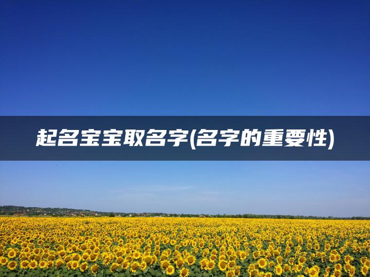 起名宝宝取名字(名字的重要性)