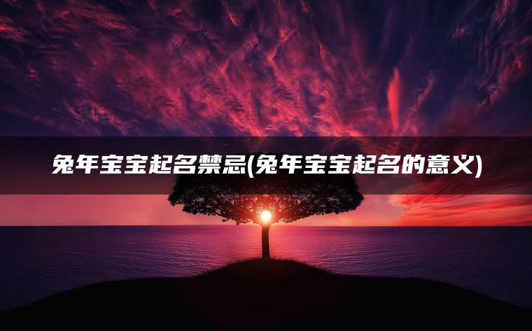 兔年宝宝起名禁忌(兔年宝宝起名的意义)