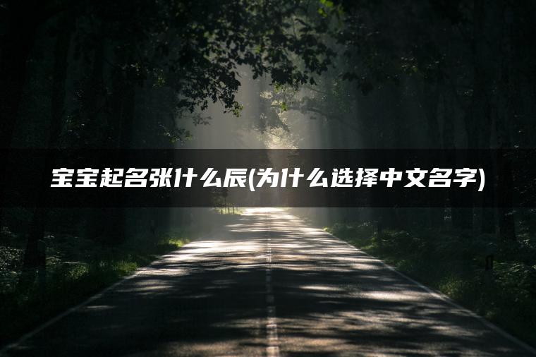 宝宝起名张什么辰(为什么选择中文名字)