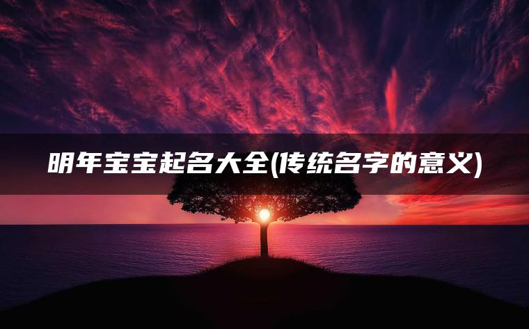 明年宝宝起名大全(传统名字的意义)