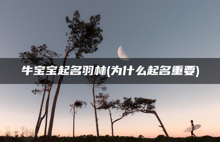 牛宝宝起名羽林(为什么起名重要)