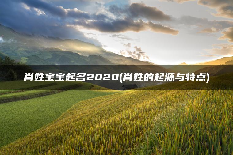 肖姓宝宝起名2020(肖姓的起源与特点)