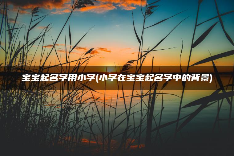 宝宝起名字用小字(小字在宝宝起名字中的背景)