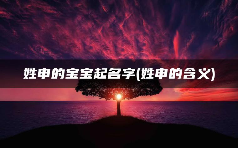 姓申的宝宝起名字(姓申的含义)