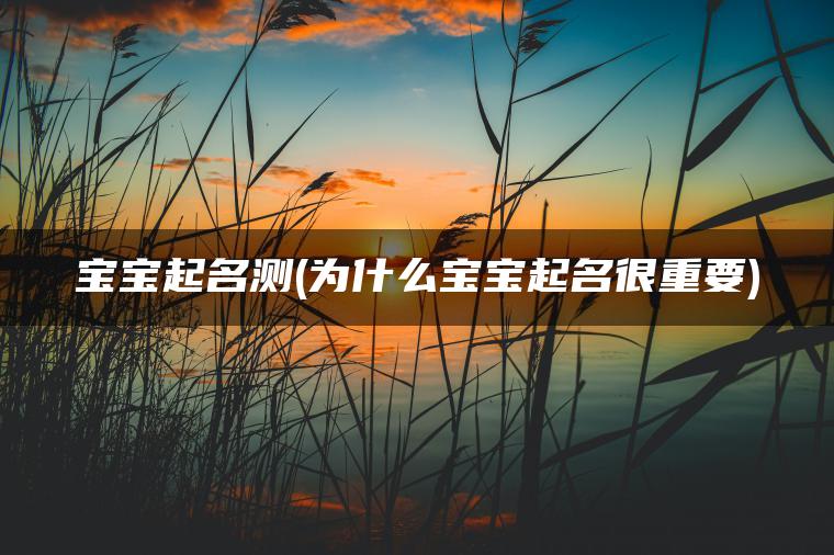 宝宝起名测(为什么宝宝起名很重要)