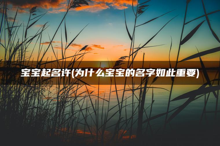 宝宝起名许(为什么宝宝的名字如此重要)