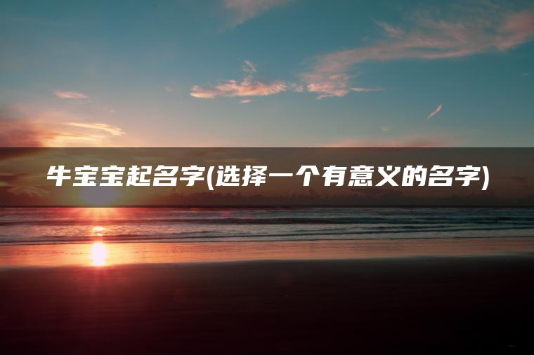 牛宝宝起名字(选择一个有意义的名字)