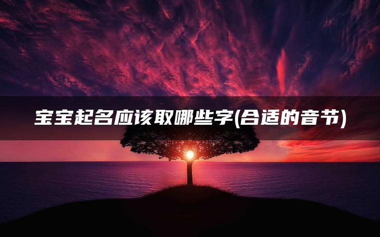 宝宝起名应该取哪些字(合适的音节)