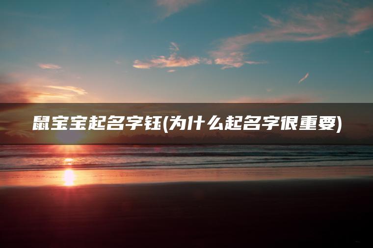 鼠宝宝起名字钰(为什么起名字很重要)