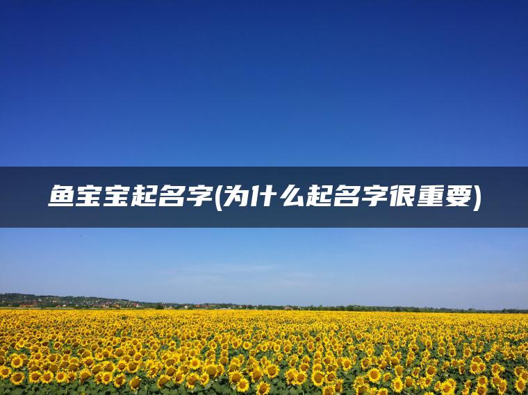 鱼宝宝起名字(为什么起名字很重要)