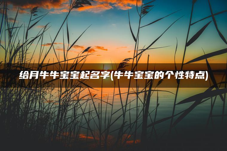 给月牛牛宝宝起名字(牛牛宝宝的个性特点)