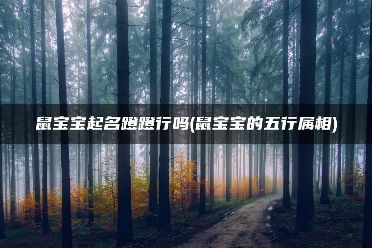 鼠宝宝起名蹬蹬行吗(鼠宝宝的五行属相)