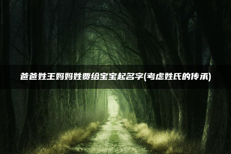 爸爸姓王妈妈姓贾给宝宝起名字(考虑姓氏的传承)