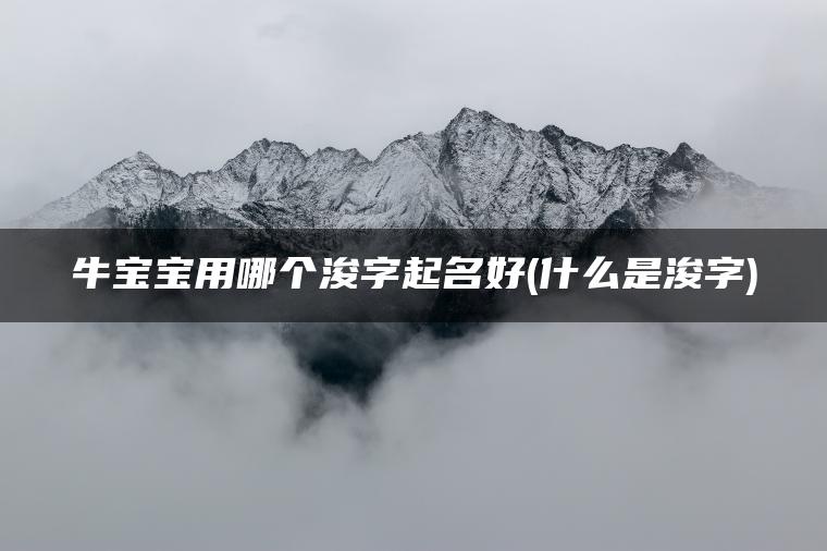 牛宝宝用哪个浚字起名好(什么是浚字)