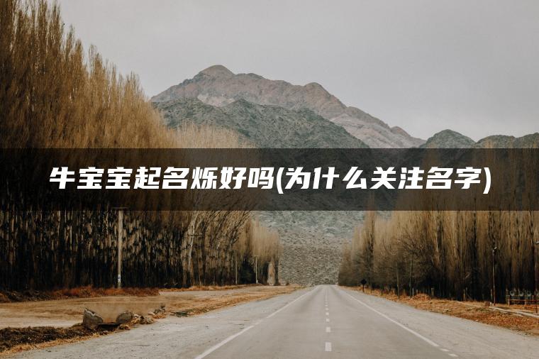 牛宝宝起名烁好吗(为什么关注名字)