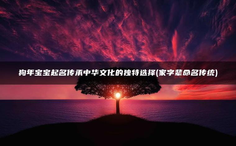 狗年宝宝起名传承中华文化的独特选择(家字辈命名传统)