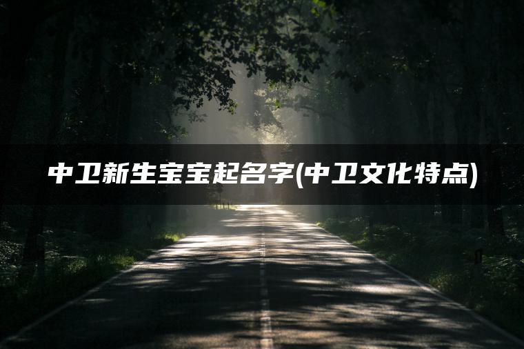 中卫新生宝宝起名字(中卫文化特点)