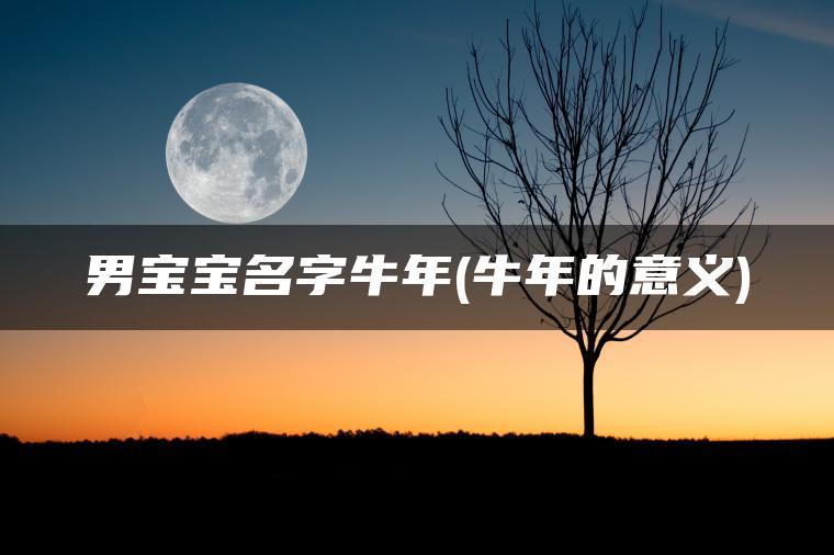 男宝宝名字牛年(牛年的意义)