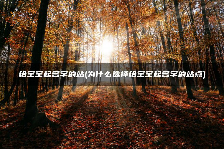 给宝宝起名字的站(为什么选择给宝宝起名字的站点)