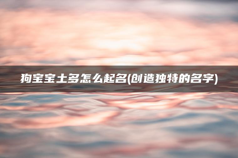 狗宝宝土多怎么起名(创造独特的名字)