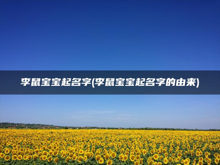 李鼠宝宝起名字(李鼠宝宝起名字的由来)