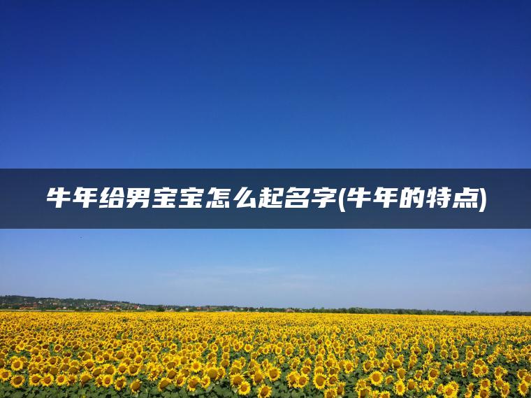 牛年给男宝宝怎么起名字(牛年的特点)