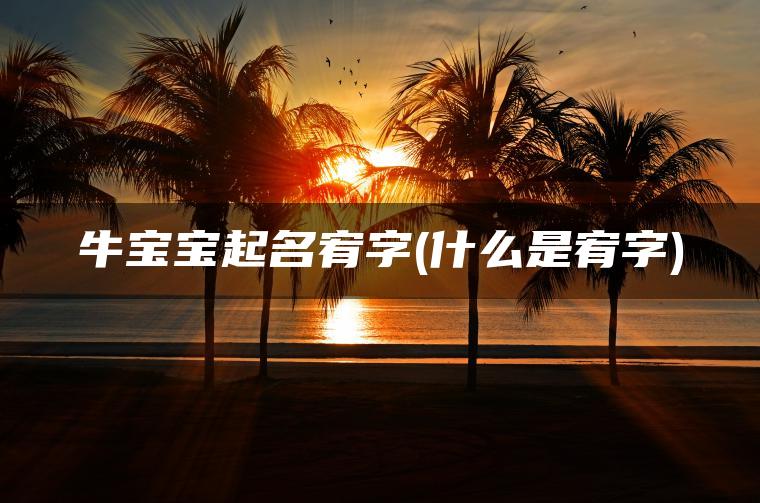 牛宝宝起名宥字(什么是宥字)