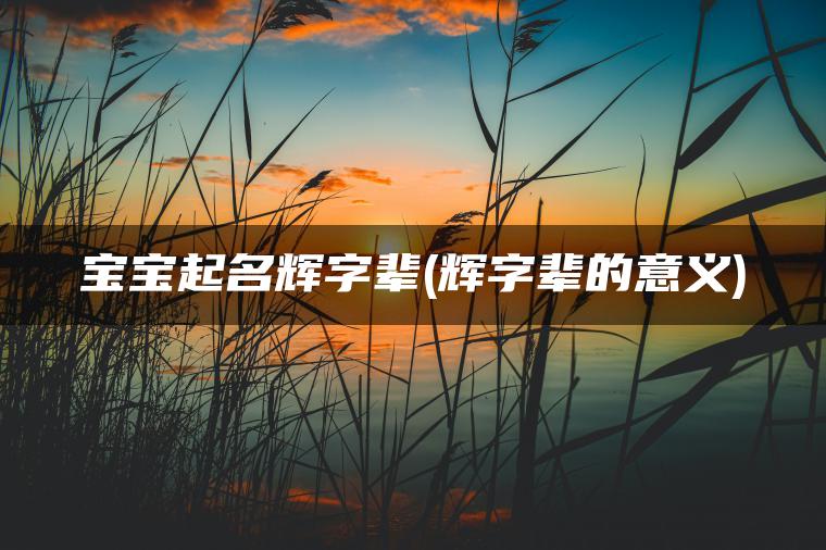 宝宝起名辉字辈(辉字辈的意义)