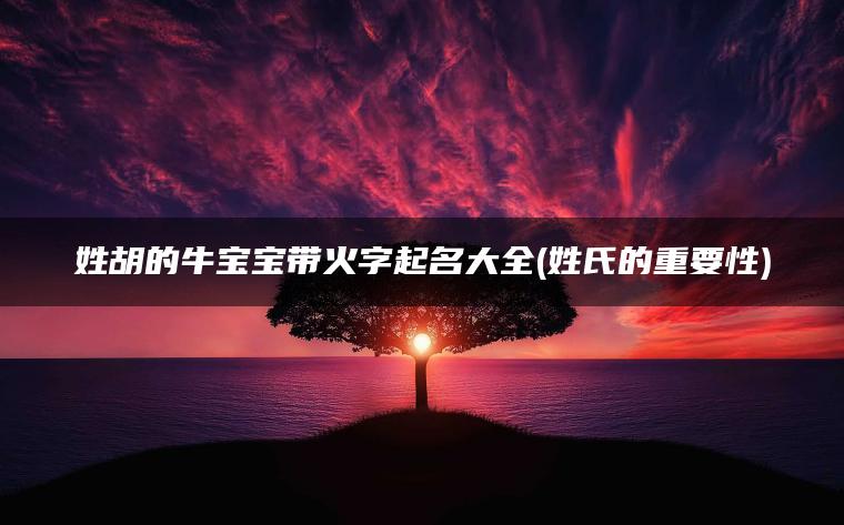 姓胡的牛宝宝带火字起名大全(姓氏的重要性)