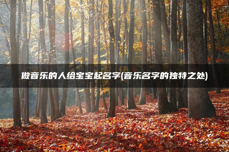 做音乐的人给宝宝起名字(音乐名字的独特之处)