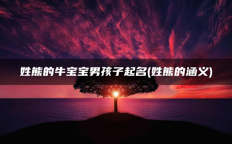 姓熊的牛宝宝男孩子起名(姓熊的涵义)