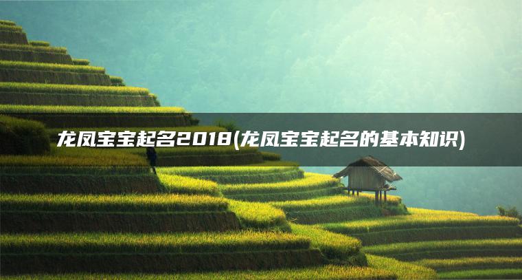 龙凤宝宝起名2018(龙凤宝宝起名的基本知识)