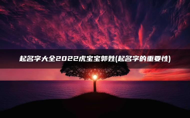 起名字大全2022虎宝宝郭姓(起名字的重要性)