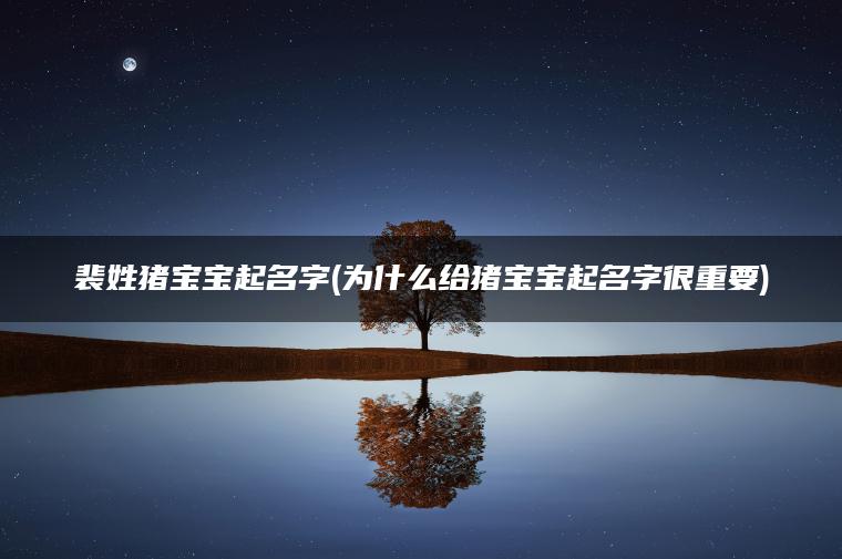 裴姓猪宝宝起名字(为什么给猪宝宝起名字很重要)