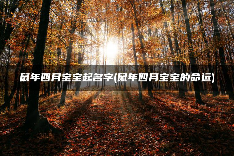 鼠年四月宝宝起名字(鼠年四月宝宝的命运)