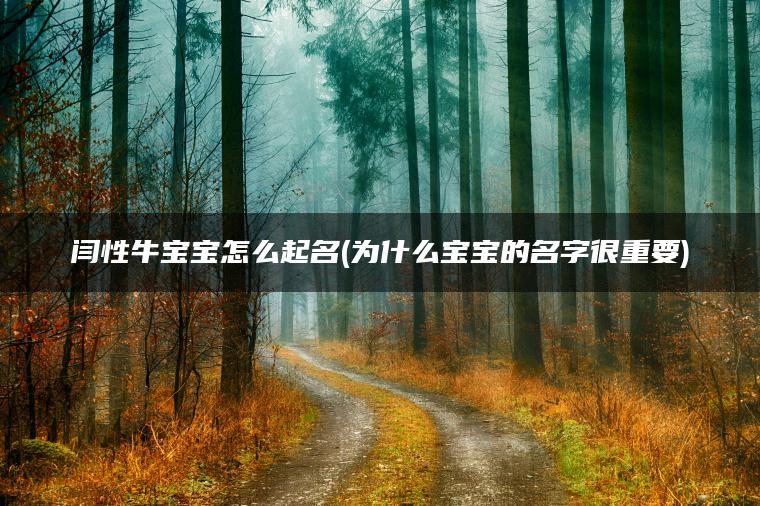 闫性牛宝宝怎么起名(为什么宝宝的名字很重要)