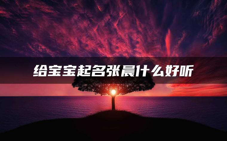 给宝宝起名张晨什么好听