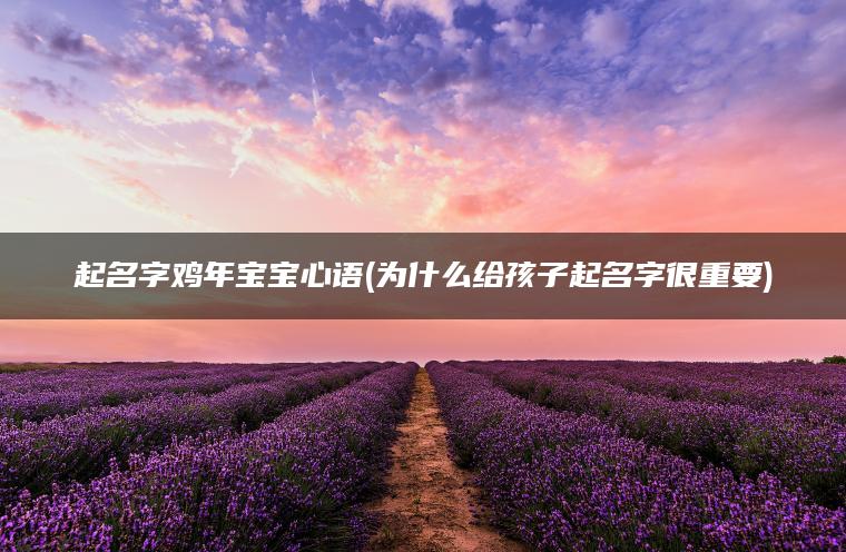 起名字鸡年宝宝心语(为什么给孩子起名字很重要)