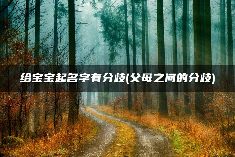 给宝宝起名字有分歧(父母之间的分歧)