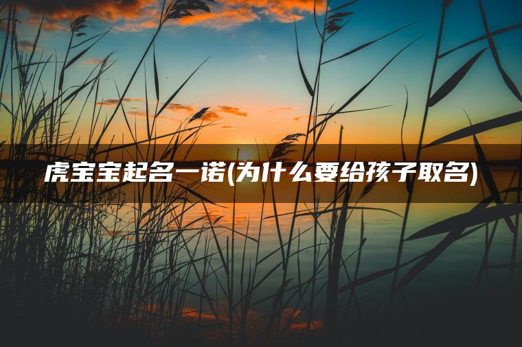 虎宝宝起名一诺(为什么要给孩子取名)