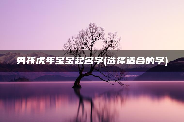 男孩虎年宝宝起名字(选择适合的字)